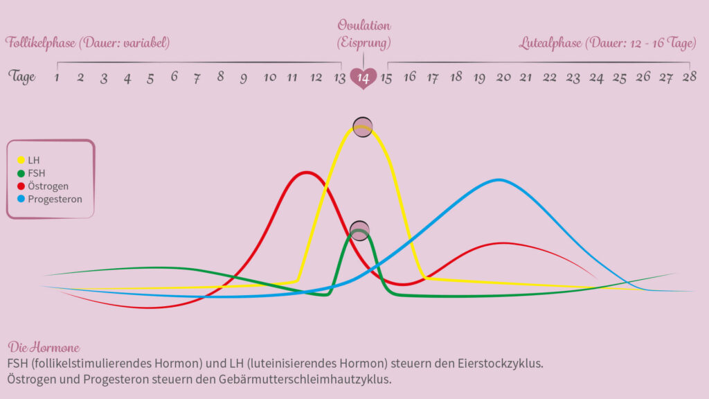 diehormone