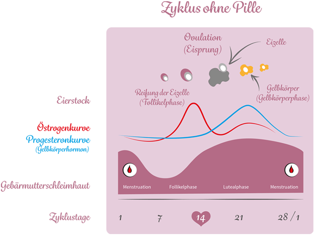 zyklus_ohne_pille